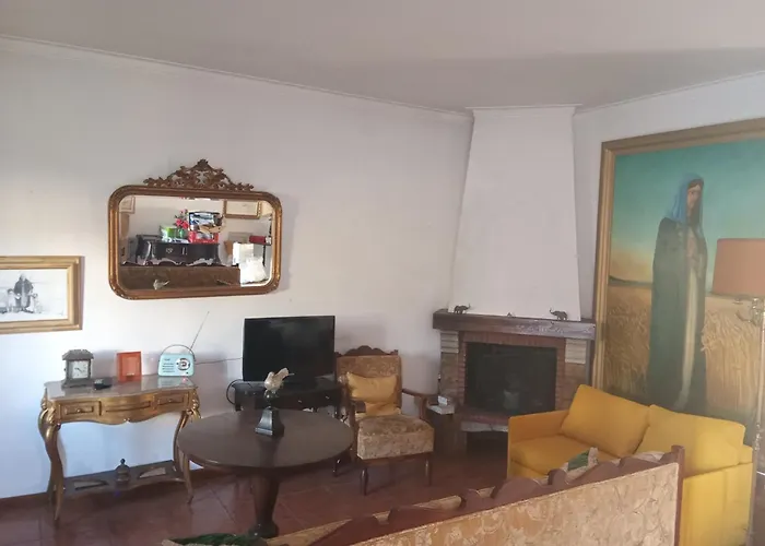 Orange Tree Apartment