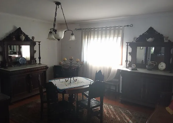 Orange Tree Apartment